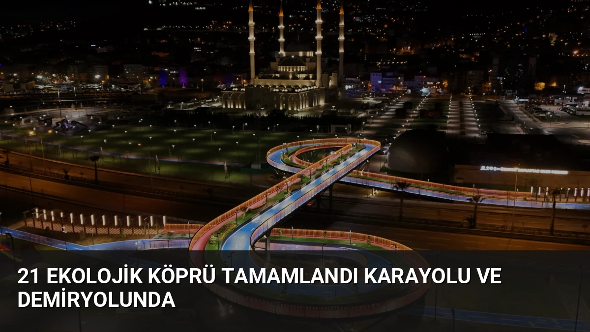 21 Ekolojik Köprü Tamamlandı Karayolu ve Demiryolunda