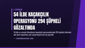 54 İlde Kaçakçılık Operasyonu 294 Şüpheli Gözaltında