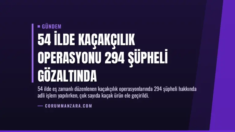 54 İlde Kaçakçılık Operasyonu 294 Şüpheli Gözaltında