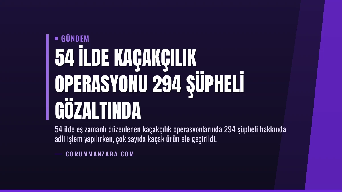 54 İlde Kaçakçılık Operasyonu 294 Şüpheli Gözaltında