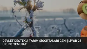 Devlet Destekli Tarım Sigortaları Genişliyor 25 Ürüne Teminat