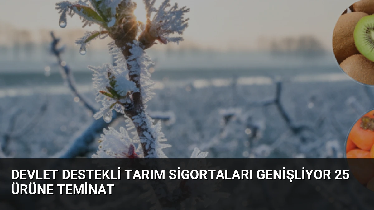 Devlet Destekli Tarım Sigortaları Genişliyor 25 Ürüne Teminat