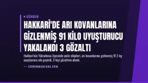 Hakkari’de Arı Kovanlarına Gizlenmiş 91 Kilo Uyuşturucu Yakalandı 3 Gözaltı