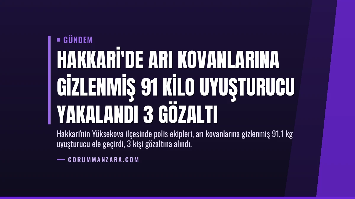 Hakkari’de Arı Kovanlarına Gizlenmiş 91 Kilo Uyuşturucu Yakalandı 3 Gözaltı