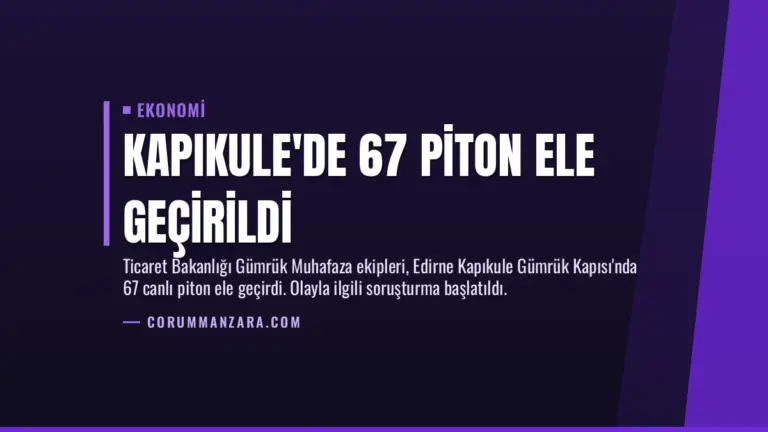 Kapıkule’de 67 Piton Ele Geçirildi
