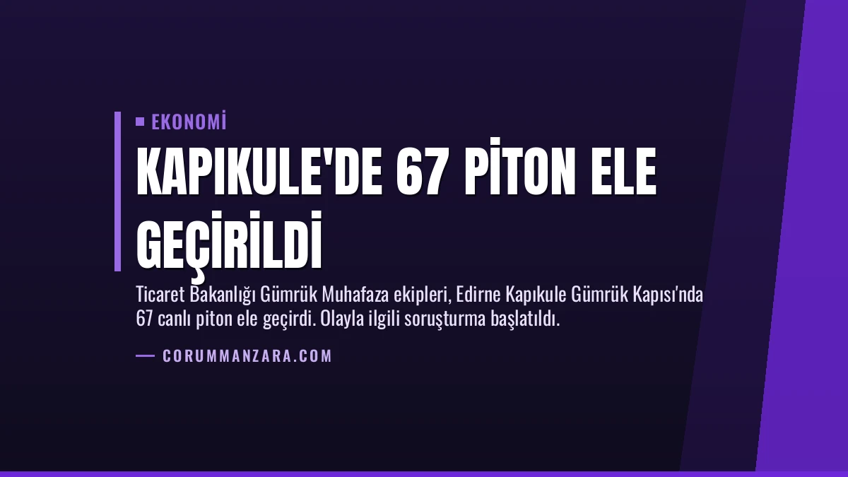 Kapıkule’de 67 Piton Ele Geçirildi