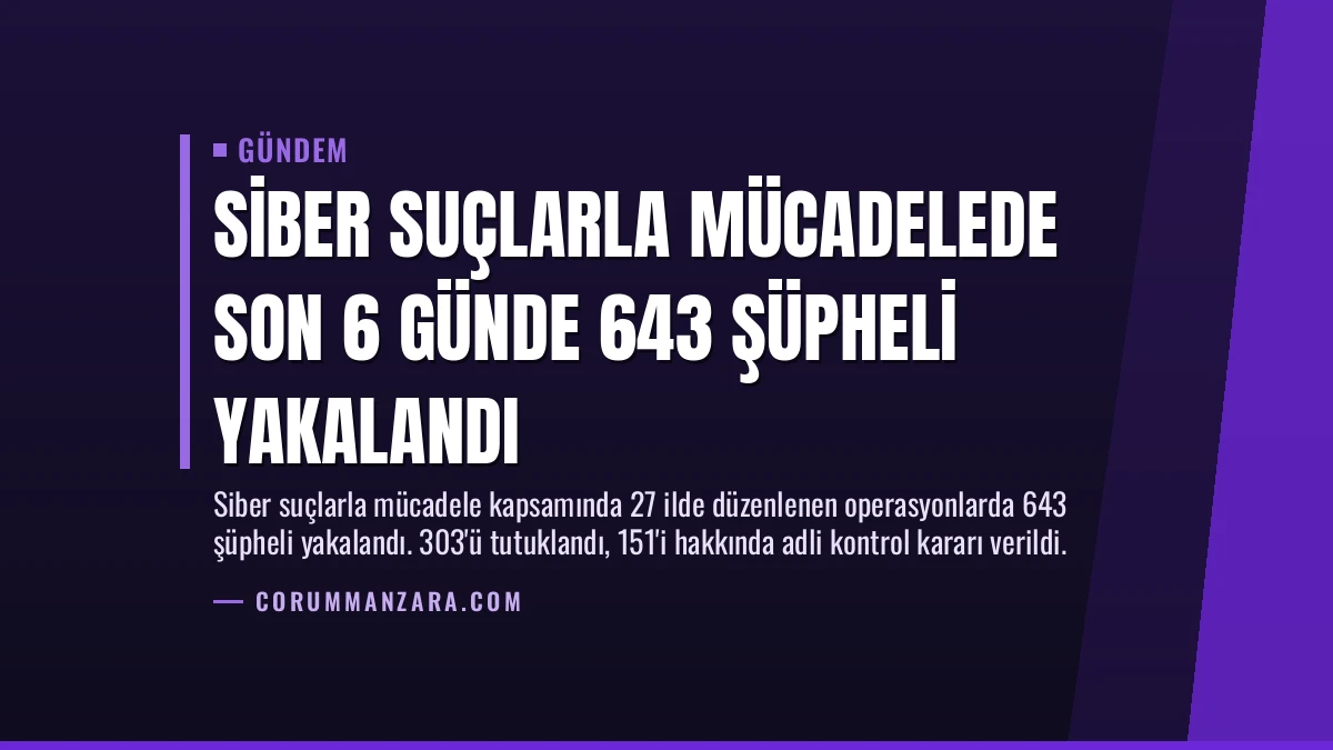 Siber Suçlarla Mücadelede Son 6 Günde 643 Şüpheli Yakalandı