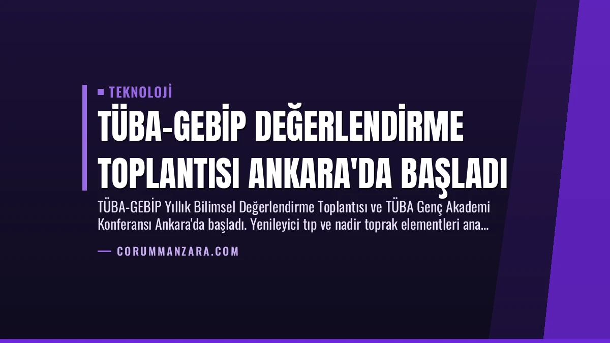 TÜBA-GEBİP Değerlendirme Toplantısı Ankara’da Başladı