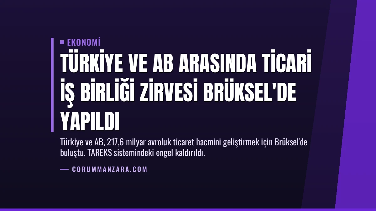 Türkiye ve AB Arasında Ticari İş Birliği Zirvesi Brüksel’de Yapıldı